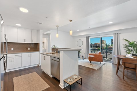 First Street Village, LLC