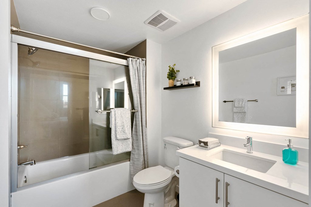 a bathroom with a shower toilet and sink and a mirror