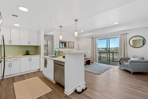 First Street Village, LLC