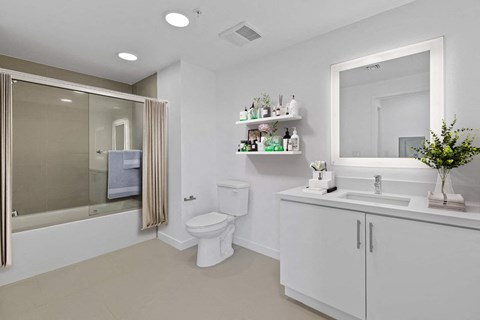 325 North First Street Studio-3 Beds Apartment for Rent - Photo Gallery 68