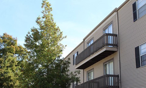 A tree is in front of a building.