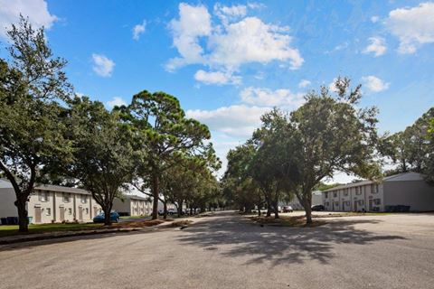 an empty street with trees in front of apartment buildings