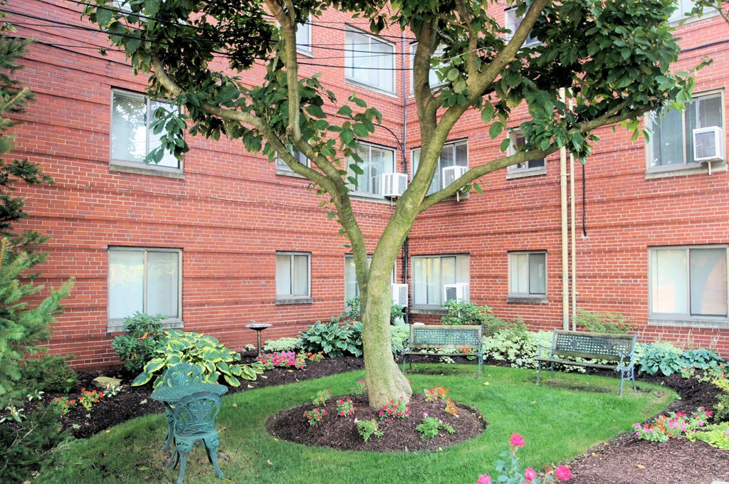 a tree in a garden in front of a brick building