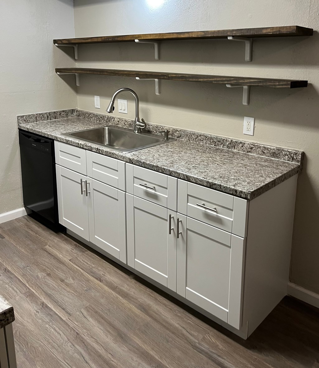 A kitchen with a sink and cabinets.