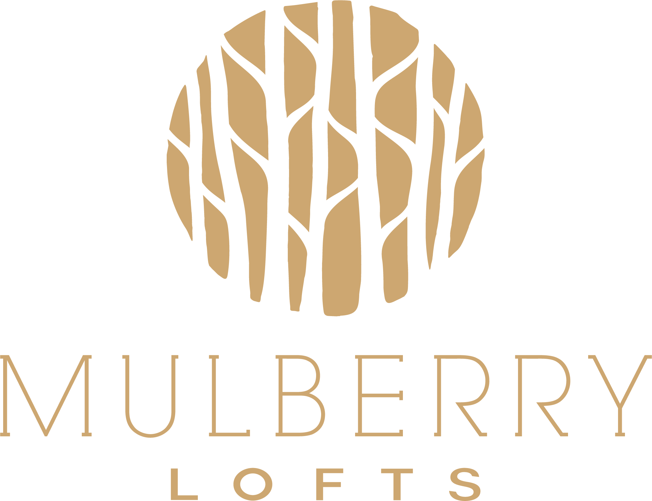 Mulberry Lofts logo