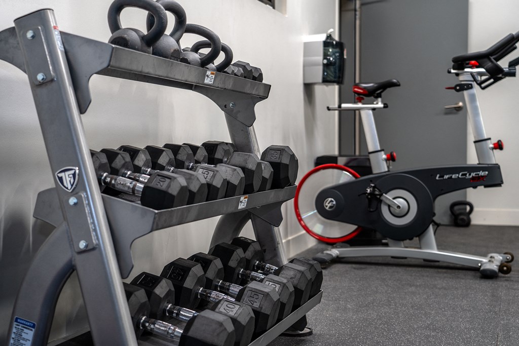 a rack of dumbbells in a gym with an exercise bike