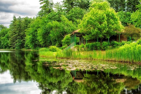 pond at the park