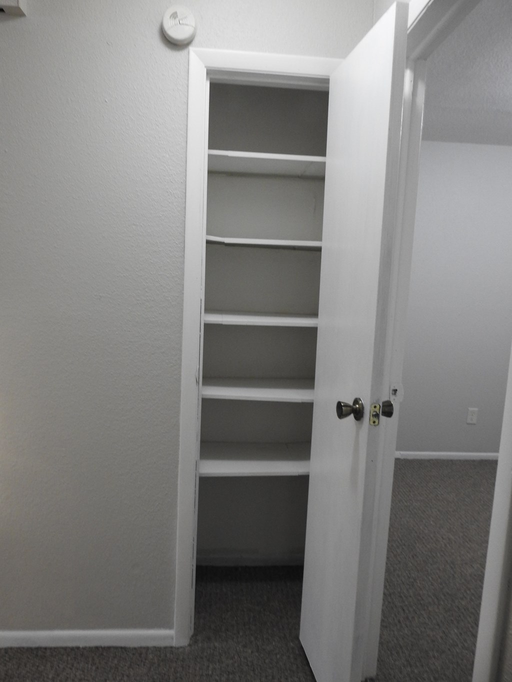 A white door with a black handle is open.