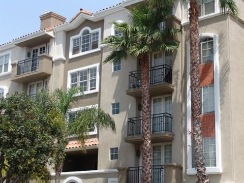 A building with balconies and palm trees in front.