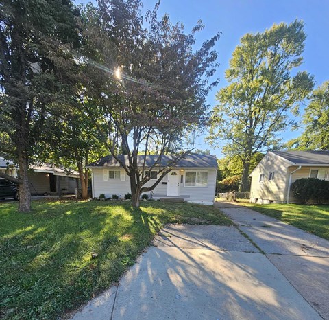 A tree in a front yard with a house in the background.