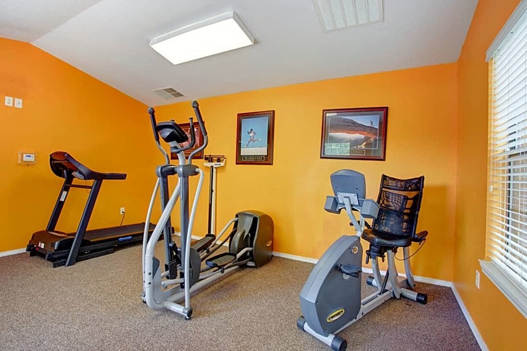 A home gym with a treadmill, elliptical trainer, and a stationary bike.