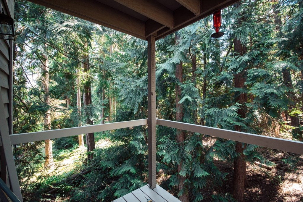 a screened in porch with a view of the woods