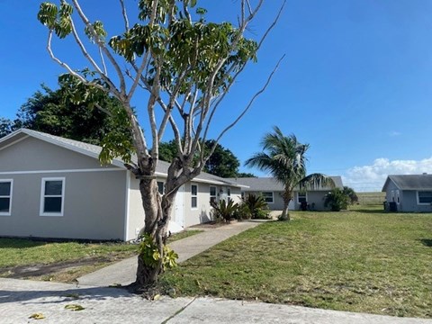 A tree in front of a house with a clear blue sky.