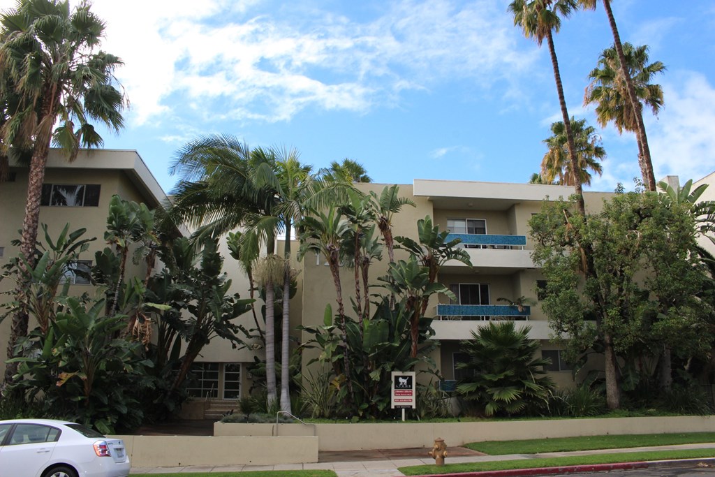 A white car is parked in front of a building with palm trees.