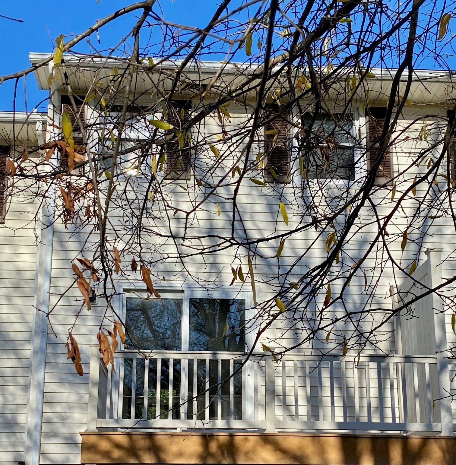 Unit 11-G Studio Apartment for Rent - Photo gallery 2