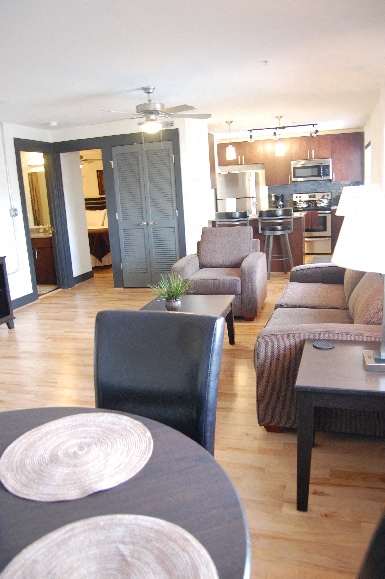 a living room and dining room with furniture and a kitchen