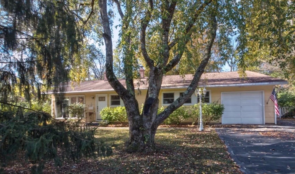 a house with a tree in front of it