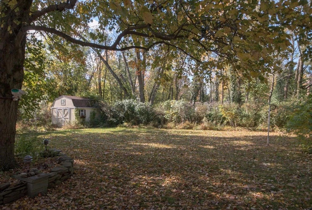 a view of the backyard of a house in the woods