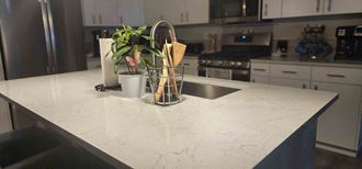 a kitchen counter with a sink and a plant on it
