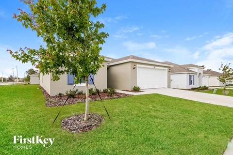 A tree in a pot is in the foreground of a residential area.