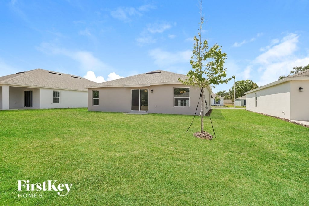 a backyard with a tree and a white house