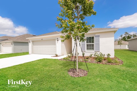 a home with a tree in the front yard