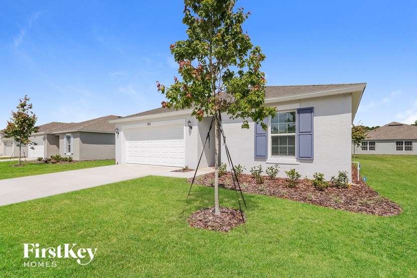 a house with a tree in front of it