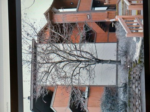 A tree branch is seen through a window.
