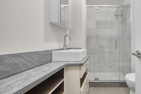 a bathroom with a sink and a shower