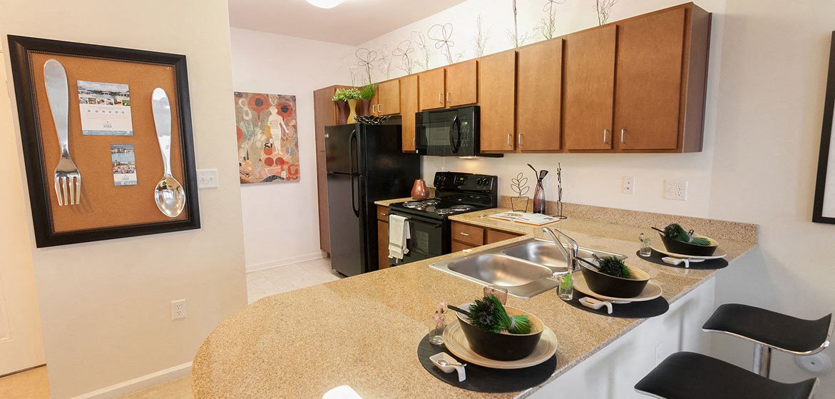 700 Acqua Apartments Newport News, VA 1 & 2 Bedrooms for Rent