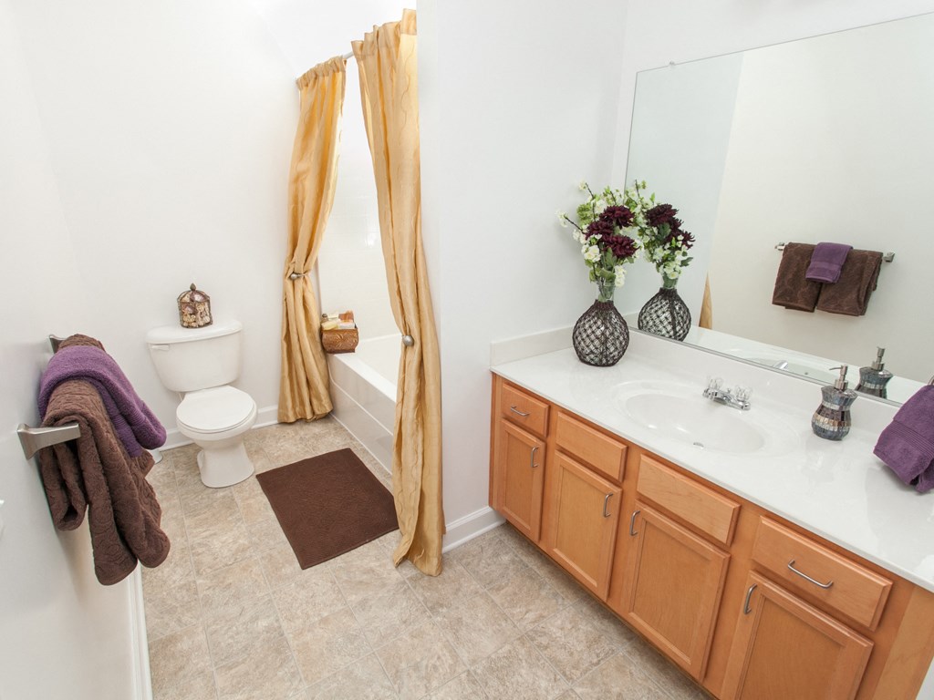 a bathroom with a toilet and a sink and a mirror