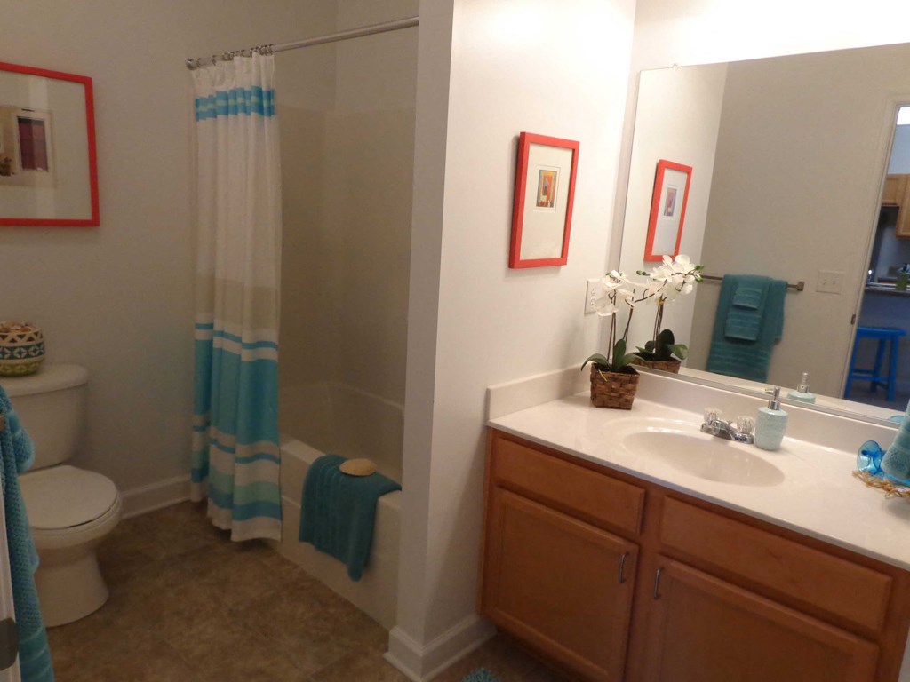 Bathroom with shower tub