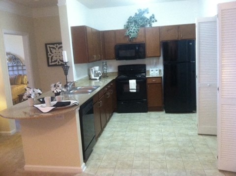 a kitchen with a black refrigerator and a sink