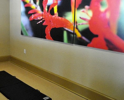 a wall with three paintings on it