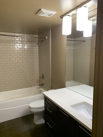 515 23 Avenue SW 1-2 Beds Apartment for Rent - Photo Gallery 3