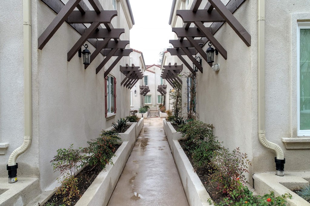 a rain soaked alleyway between two buildings with potted plants