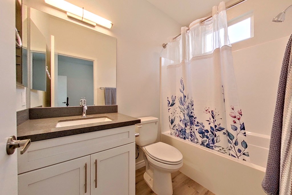 a bathroom with a sink and a toilet and a shower