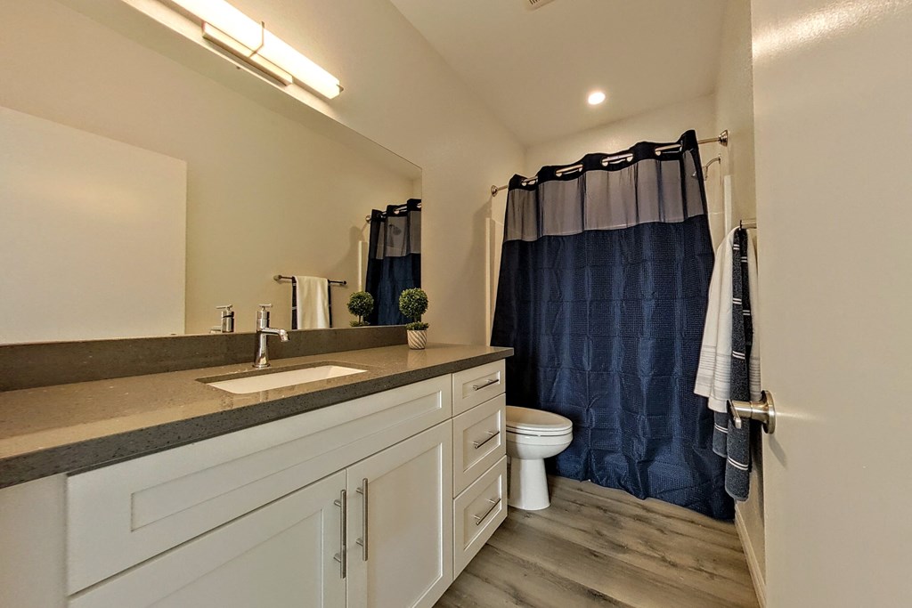 a bathroom with a sink and a toilet and a shower