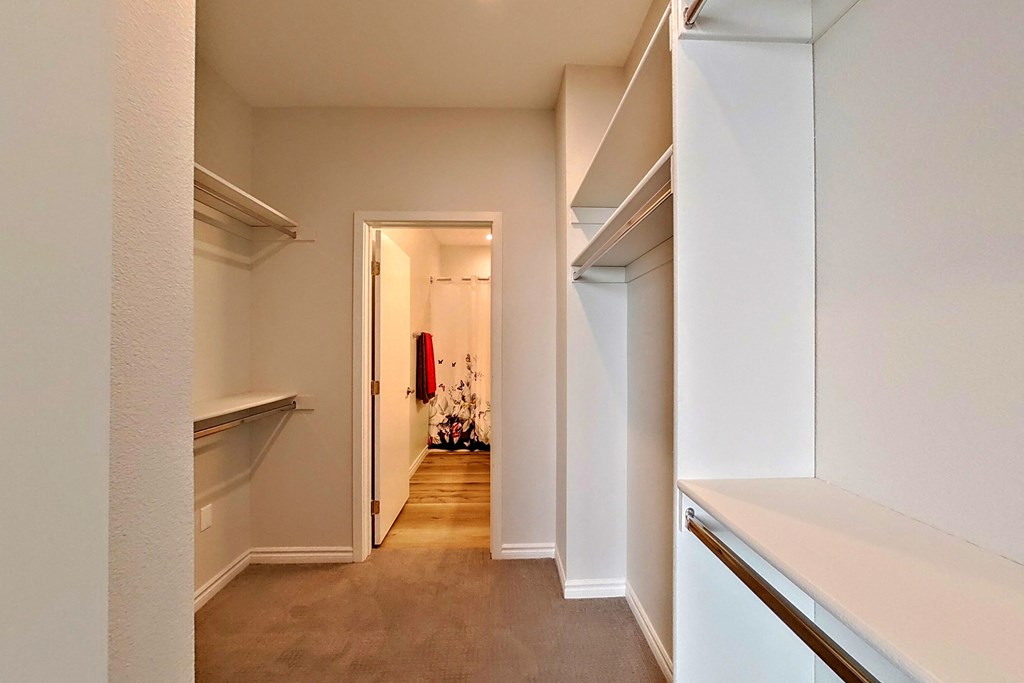 a pass through between two closets and a hallway with a door to a room