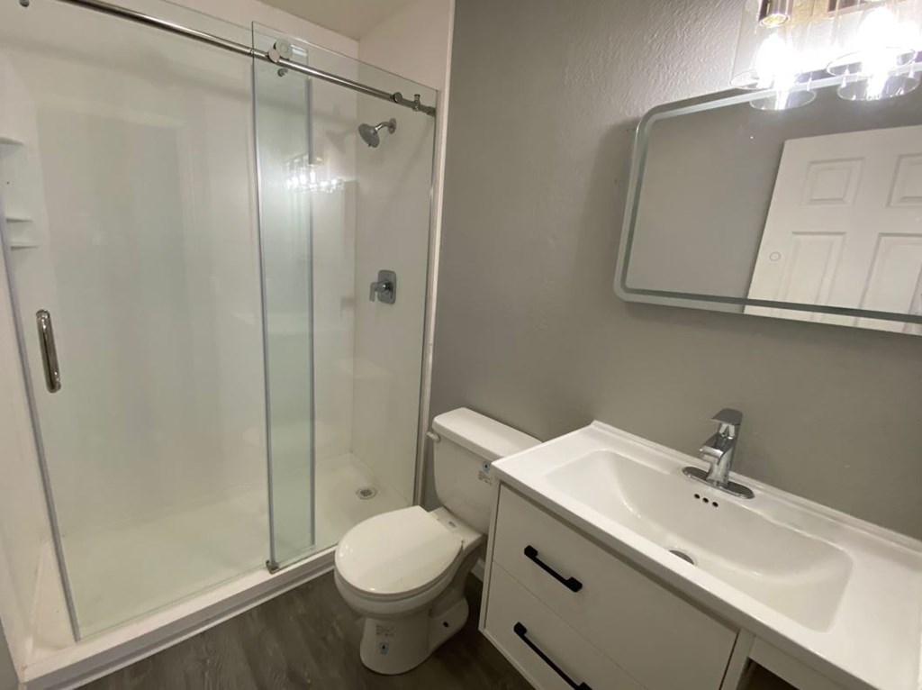 a bathroom with a sink toilet and a shower