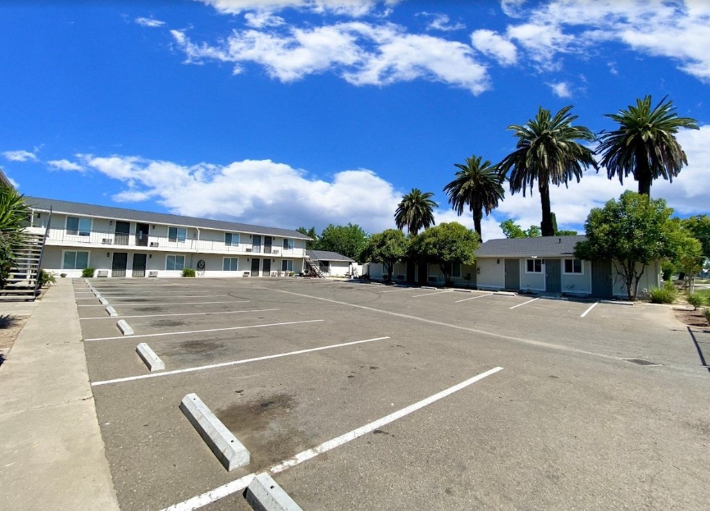 an empty parking lot with palm trees in front of a hotel