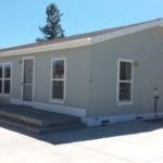 a white house with a tree in front of it