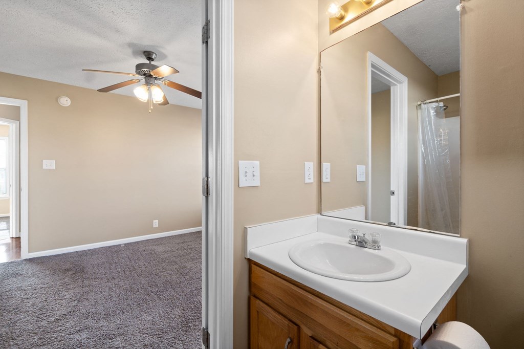 a bathroom with a sink and a mirror and a shower