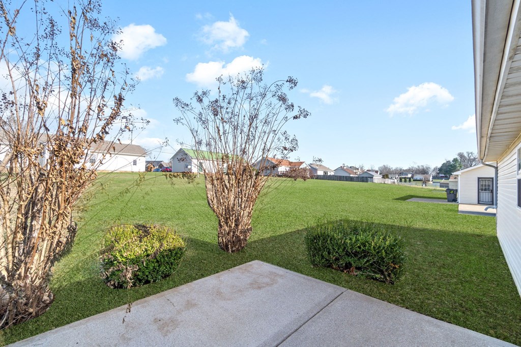the yard of a house with grass and a lawn and some trees