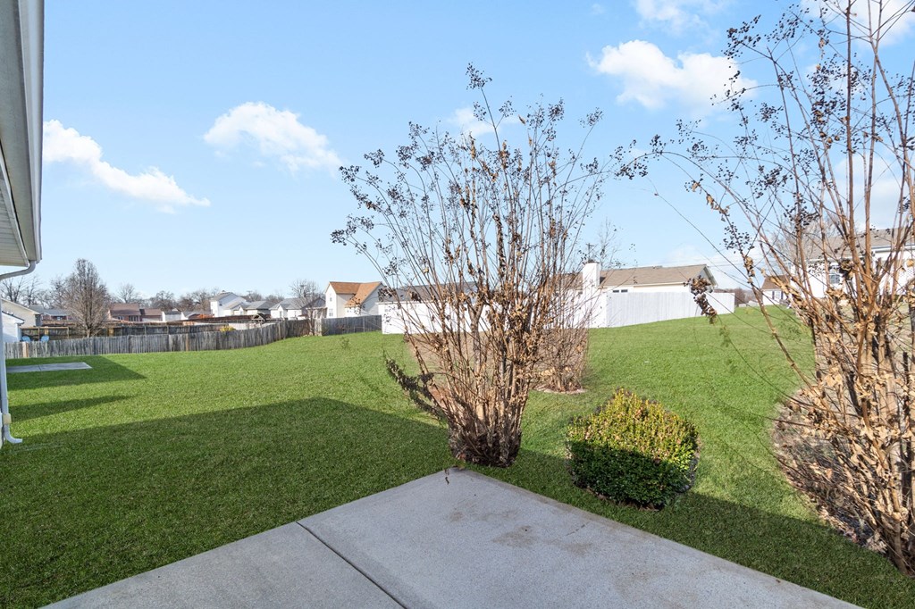the backyard of a house with a lawn and a tree