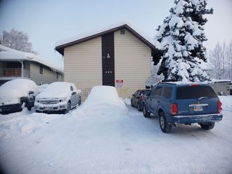 our house and cars in the snow