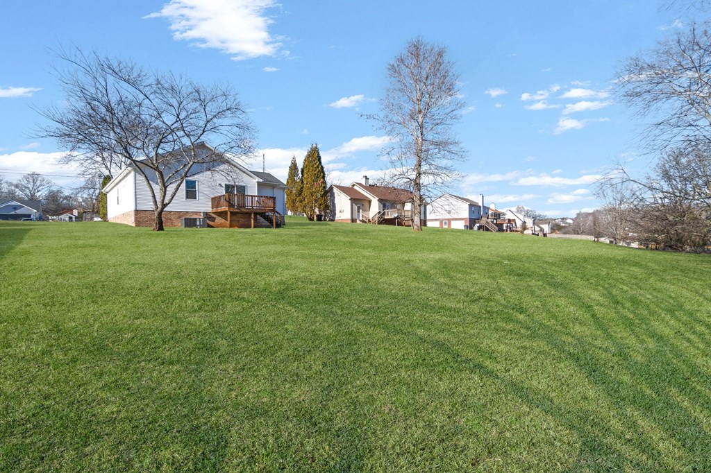 a large lawn with houses in the background