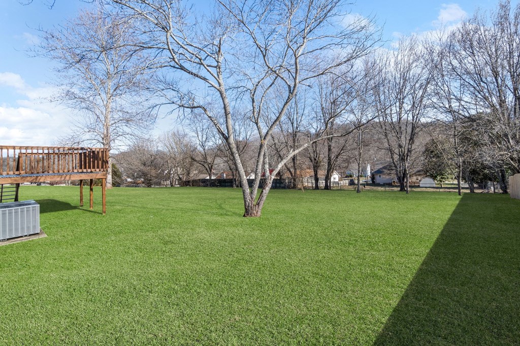 a park with a bench and a tree in the grass