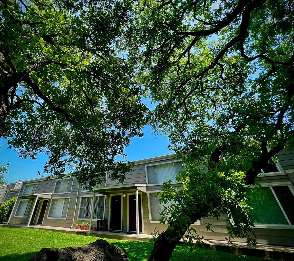 a house with a tree in front of it