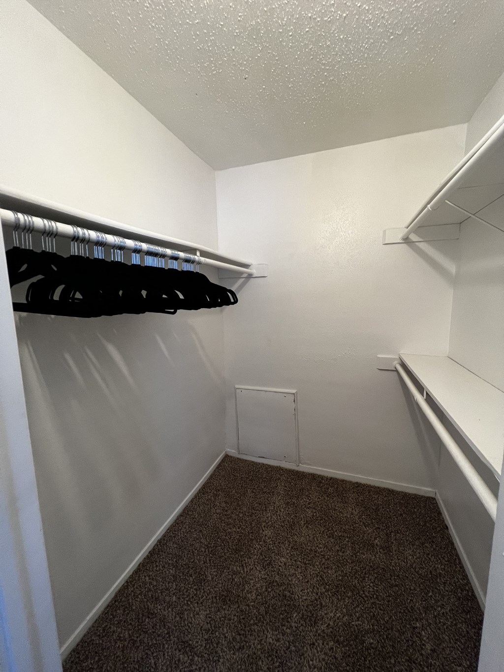 a walk in closet in a small room with a carpet